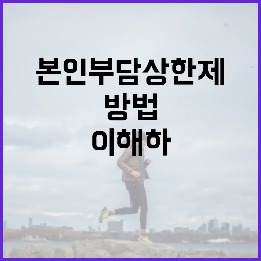 본인부담상한제를 이해하고 활용하는 방법 - 요약