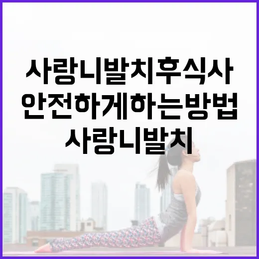 사랑니 발치 후 식사를 안전하게 하는 방법 - 요약