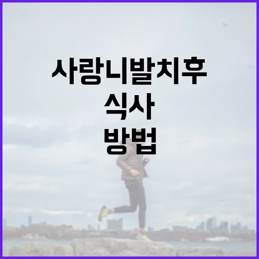 사랑니 발치 후 올바르게 식사하는 방법 - 요약