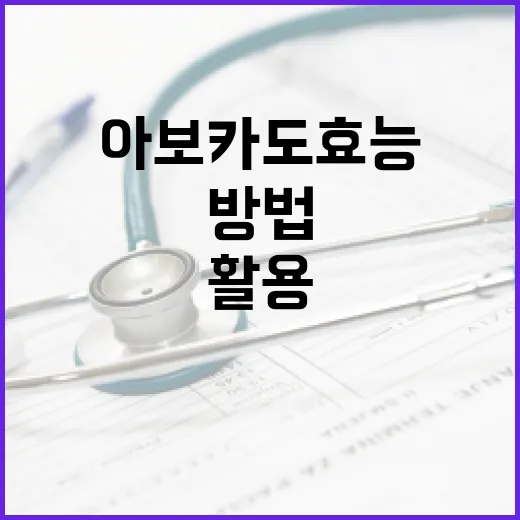 아보카도 효능을 최대한 활용하는 방법 - 요약