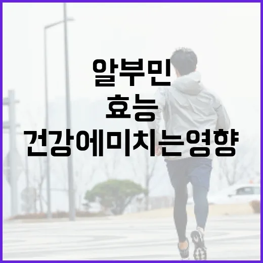 알부민의 효능과 건강에 미치는 영향 알아보기 - 요약