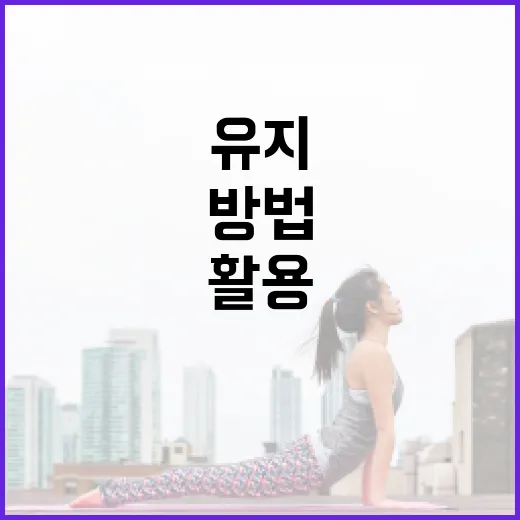 마운자로를 활용한 건강 유지 방법 - 요약