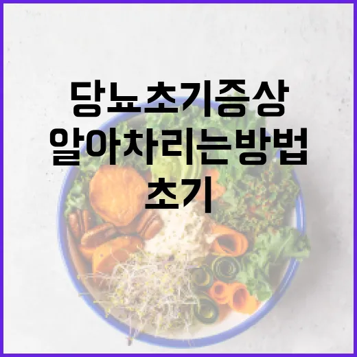 당뇨 초기증상을 알아차리는 방법 - 요약
