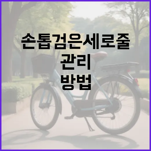 손톱 검은세로줄을 이해하고 관리하는 방법 - 요약