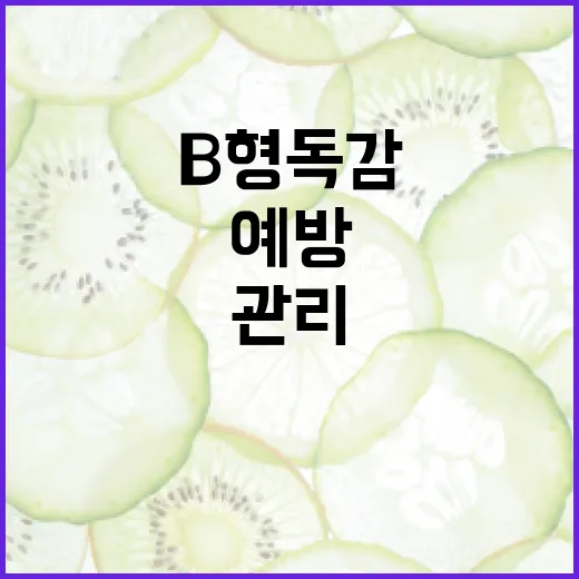 B형 독감을 예방하고 관리하는 방법 - 요약
