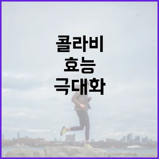콜라비의 건강 효능을 극대화하는 방법 - 요약