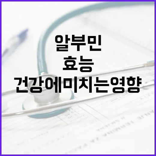 알부민의 효능과 건강에 미치는 영향 알아보기 - 요약