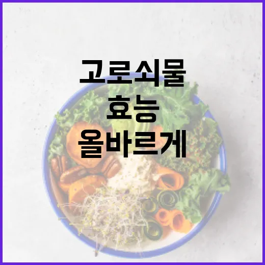 고로쇠물의 놀라운 효능과 올바르게 섭취하는 방법 - 요약