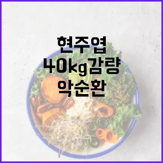 현주엽처럼 40kg 감량을 성공적으로 하는 방법: 악순환을 피하세요 - 요약