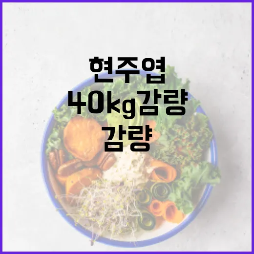 현주엽의 40kg 감량과 악순환을 피하는 방법 - 요약