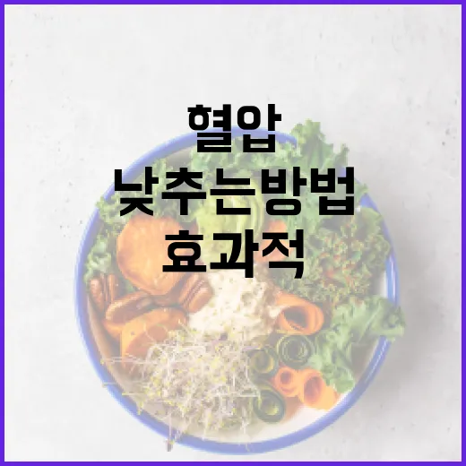 혈압을 효과적으로 낮추는 방법 - 요약