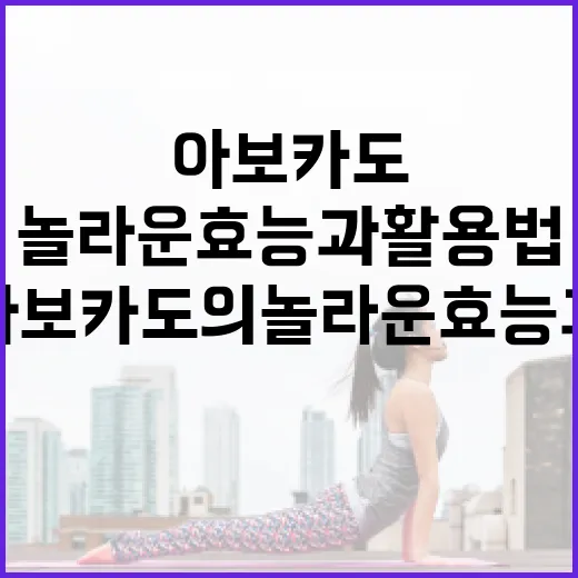 아보카도의 놀라운 효능과 활용법 - 요약