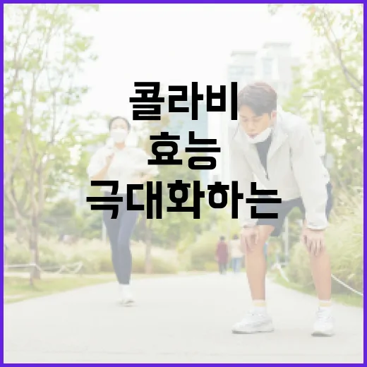 콜라비의 효능을 극대화하는 방법 - 요약