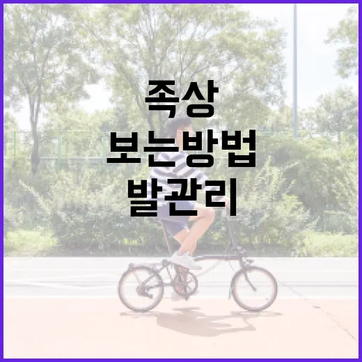 족상을 보는 방법: 건강을 위한 올바른 발 관리 - 요약