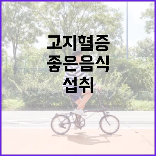고지혈증을 관리하기 위한 좋은 음식 섭취 방법 - 요약