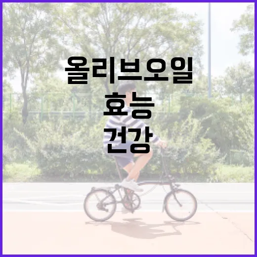 올리브오일의 건강 효능을 최대화하는 방법 - 요약