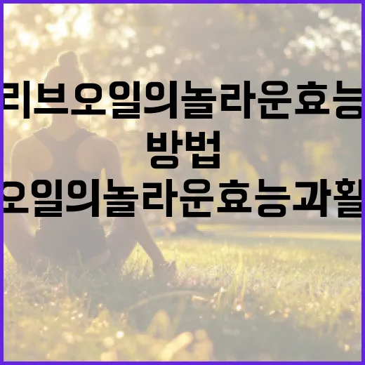 올리브오일의 놀라운 효능과 활용 방법 - 요약