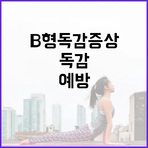 B형 독감 증상을 파악하고 예방하는 방법 - 요약