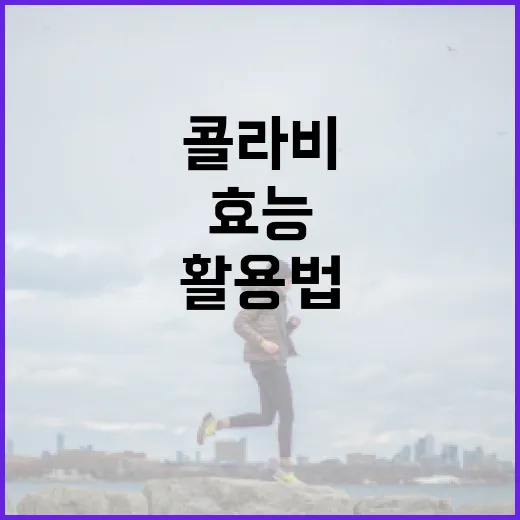 콜라비의 놀라운 효능과 활용법 - 요약