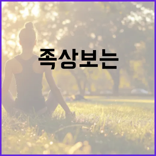 족상 보는 방법: 발 건강을 위한 완벽 가이드 - 요약