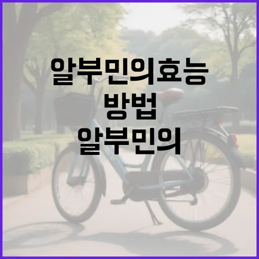 알부민의 효능을 최대한 활용하는 방법 - 요약