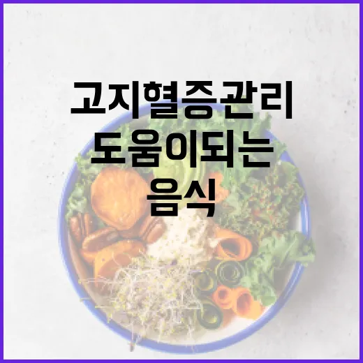 고지혈증 관리에 도움이 되는 음식 선택 방법 - 요약