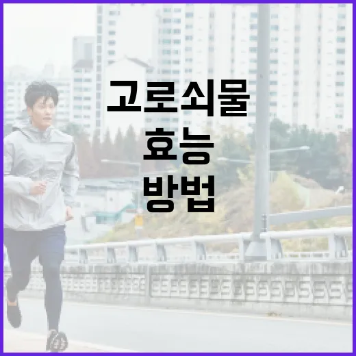 고로쇠물의 효능을 극대화하는 방법 - 요약