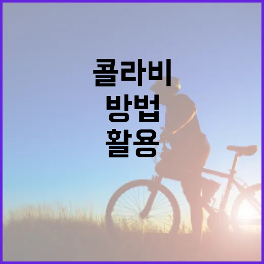 콜라비의 효능을 최대한 활용하는 방법 - 요약