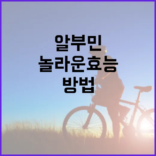알부민의 놀라운 효능을 아는 방법 - 요약