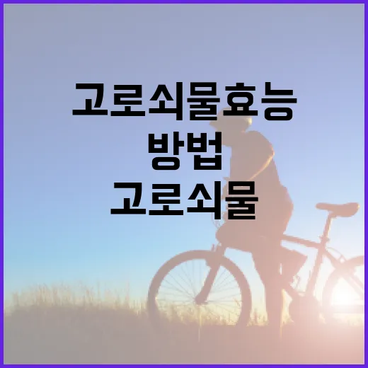 고로쇠물 효능을 최대한 활용하는 방법 - 요약