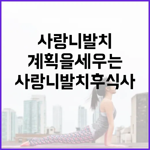 사랑니 발치 후 식사 계획을 세우는 방법 - 요약