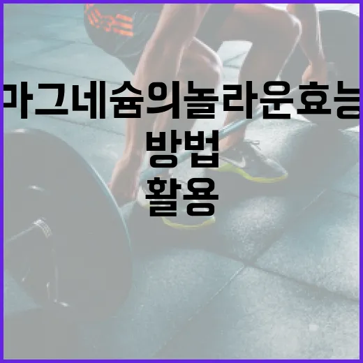 마그네슘의 놀라운 효능을 최대한 활용하는 방법 - 요약