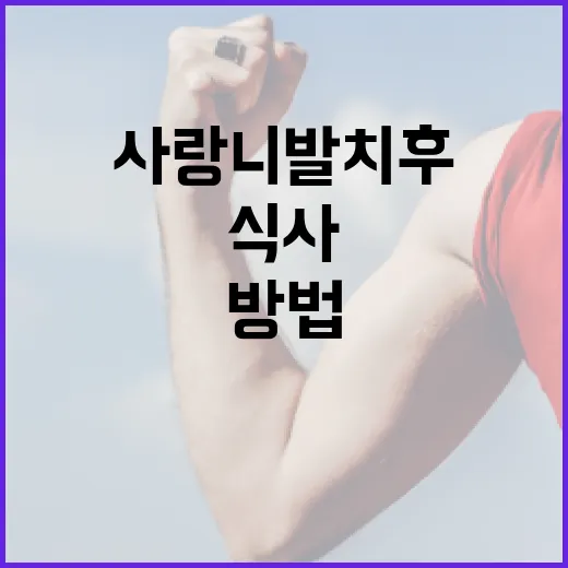 사랑니 발치 후 올바르게 식사하는 방법 - 요약