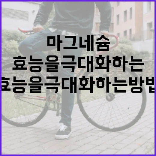 마그네슘 효능을 극대화하는 방법 - 요약