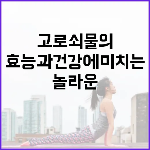 고로쇠물의 놀라운 효능과 건강에 미치는 영향 - 요약