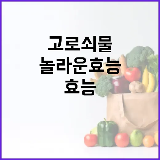 고로쇠물의 놀라운 효능을 극대화하는 방법 - 요약