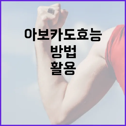 아보카도 효능을 최대한 활용하는 방법 - 요약