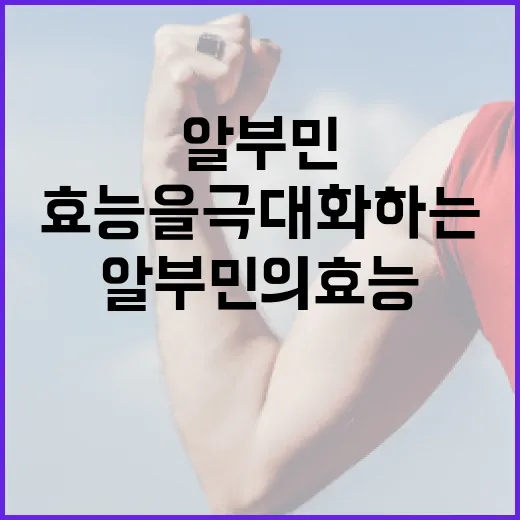 알부민의 효능을 극대화하는 방법 - 요약