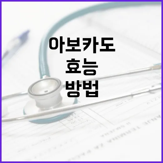 아보카도의 효능을 최대한 활용하는 방법 - 요약