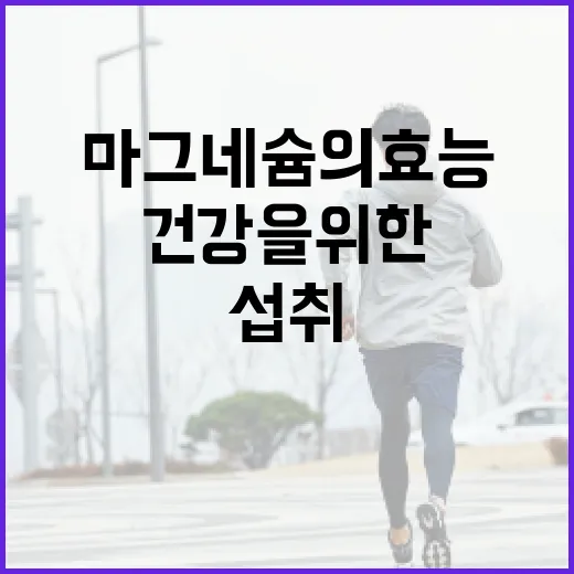 마그네슘의 효능과 건강을 위한 섭취 방법 - 요약
