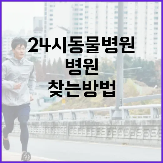24시 동물병원을 찾는 방법과 유의사항 - 요약