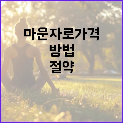마운자로 가격을 절약하는 방법 - 요약