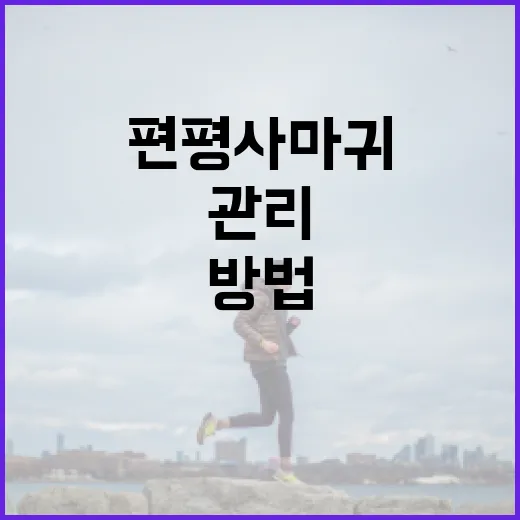 편평사마귀를 효과적으로 관리하는 방법 - 요약