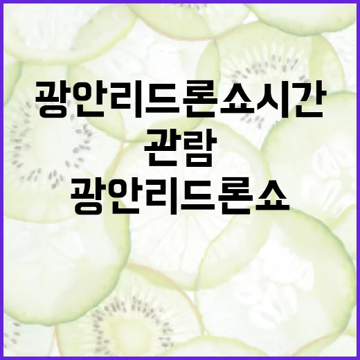 광안리 드론쇼 시간을 최적화하여 관람하는 방법 - 요약