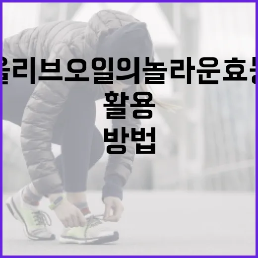 올리브오일의 놀라운 효능을 최대한 활용하는 방법 - 요약