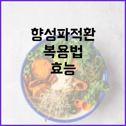 향성파적환의 효능과 복용법: 건강 개선을 위한 가이드 - 요약