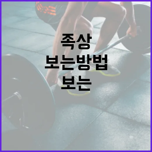 족상을 효과적으로 보는 방법 - 요약