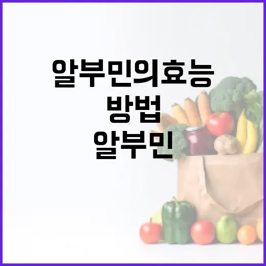알부민의 효능을 극대화하는 방법 - 요약