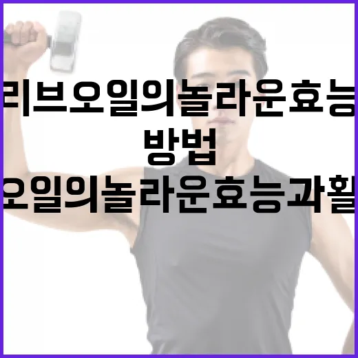 올리브오일의 놀라운 효능과 활용 방법 - 요약