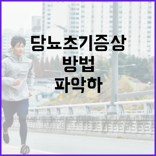 당뇨 초기증상을 파악하는 방법 - 요약